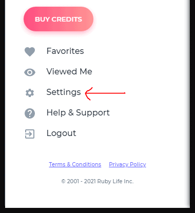 this is a photo of the setting tab on ashley madison. there is a red arrow on the setting tab, and you can even buuy credits from this page. Why is ashley madison sending me emails 