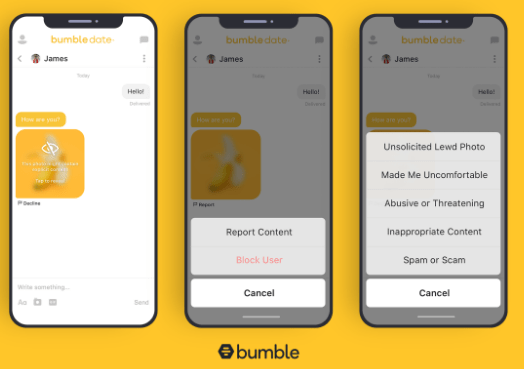 Private detector on Bumble